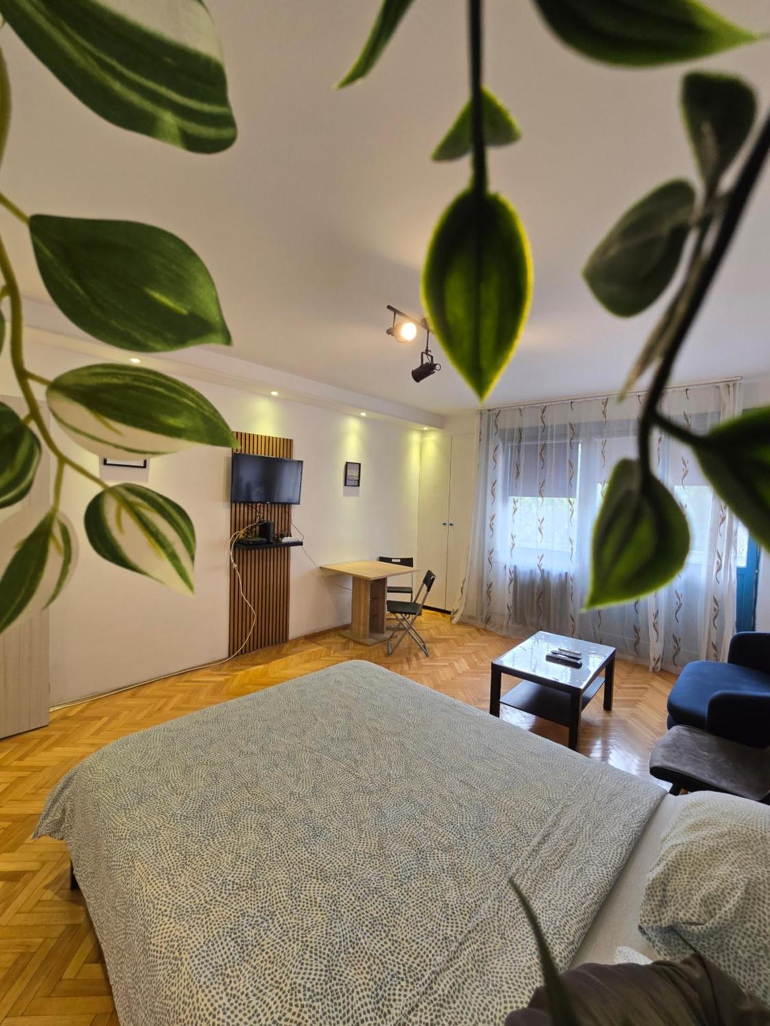 Azzurro Studio Apartment Belgrade Exterior photo