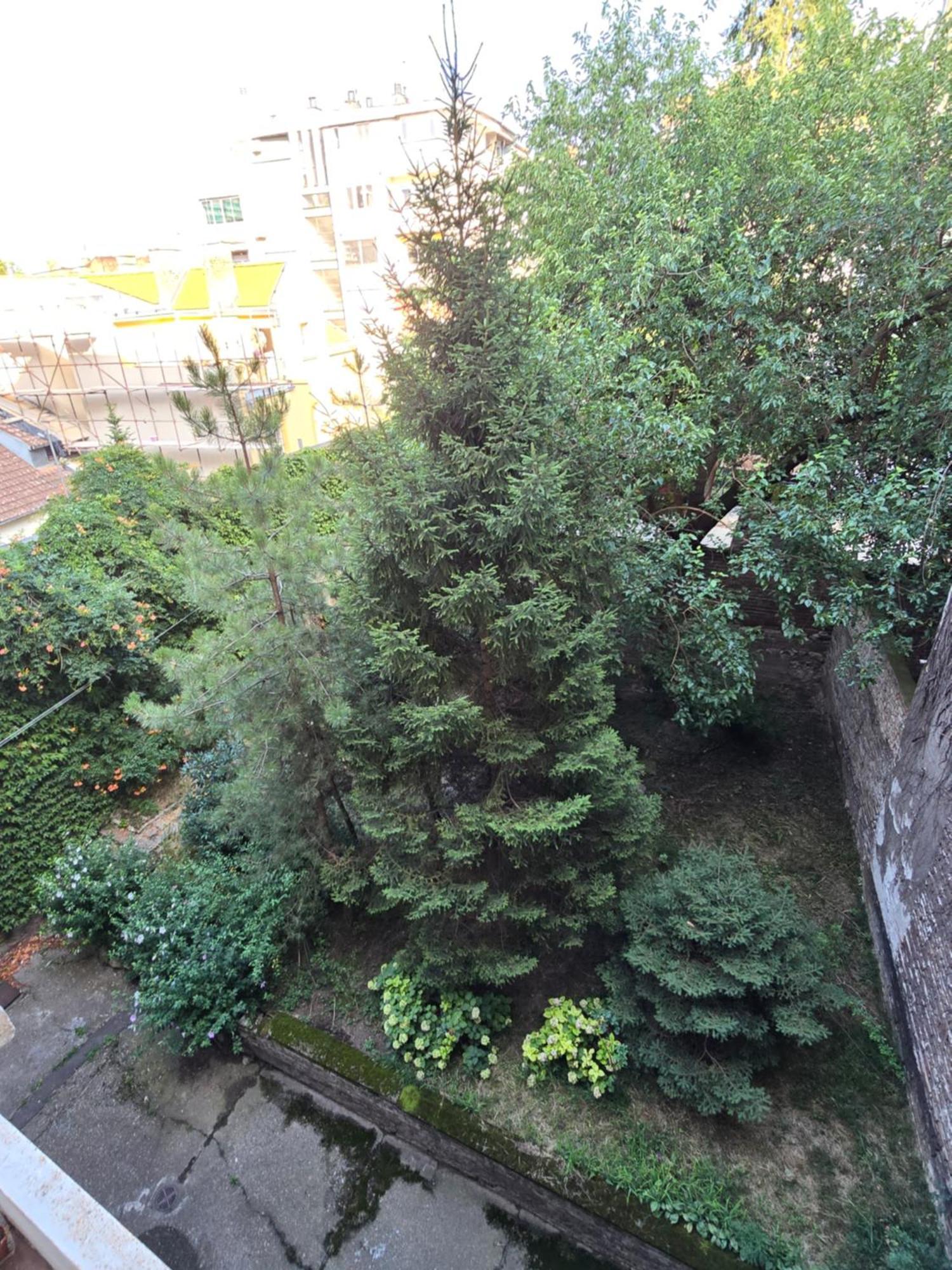 Azzurro Studio Apartment Belgrade Exterior photo